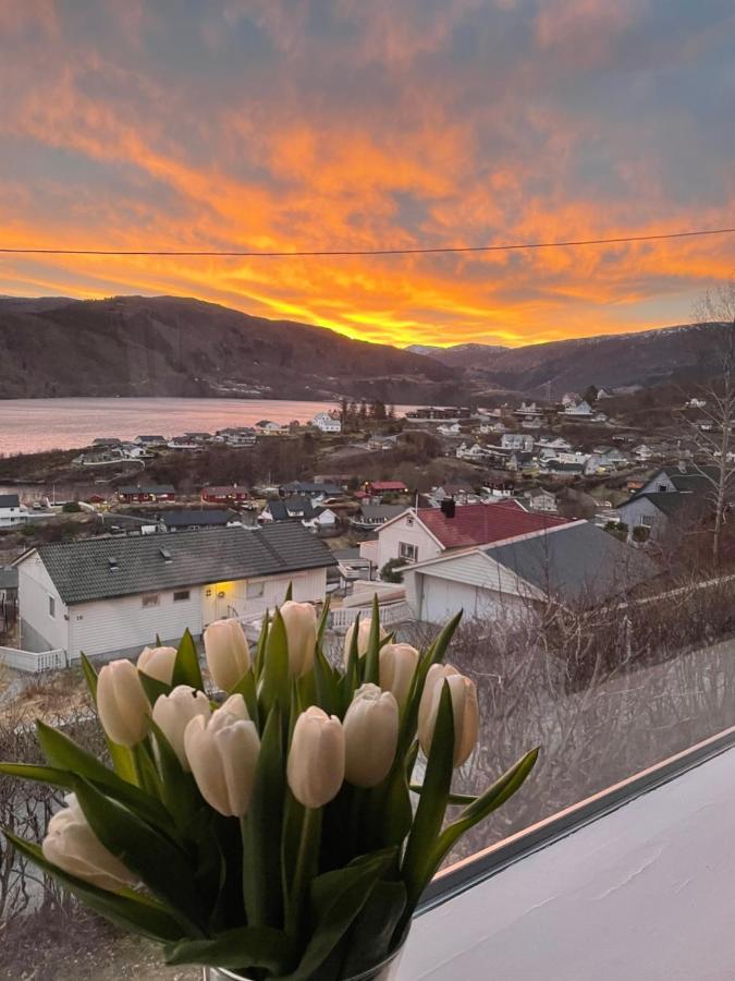 Stay Inn Bergen Apartment Eksteriør billede